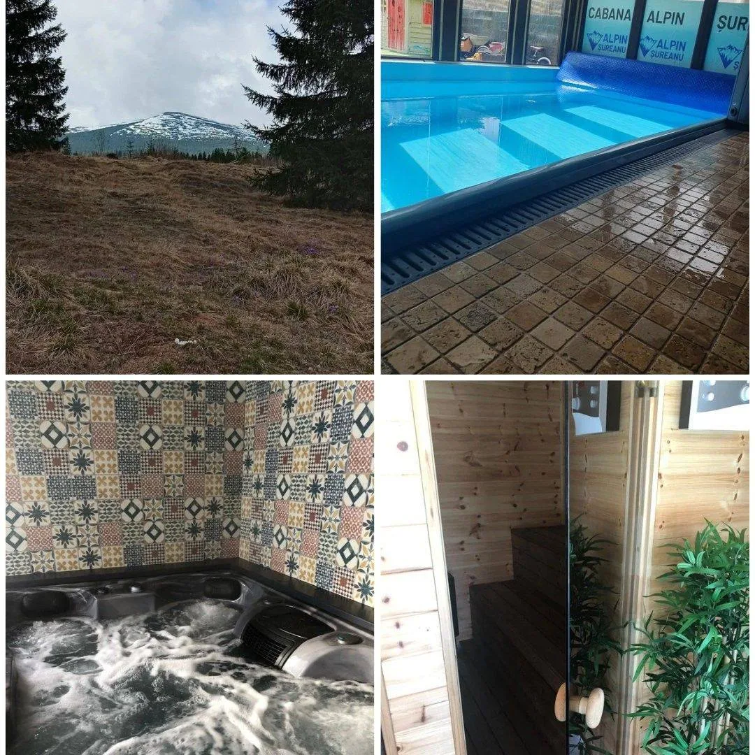 Cabana Alpin Sureanu