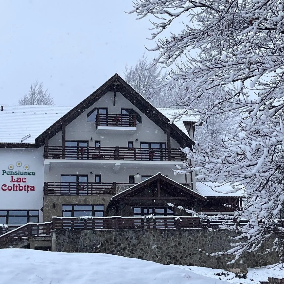 Pension Lake Colibita