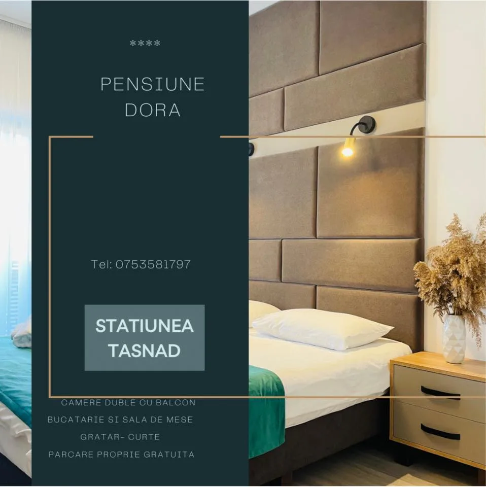 Pensiune Dora Tasnad