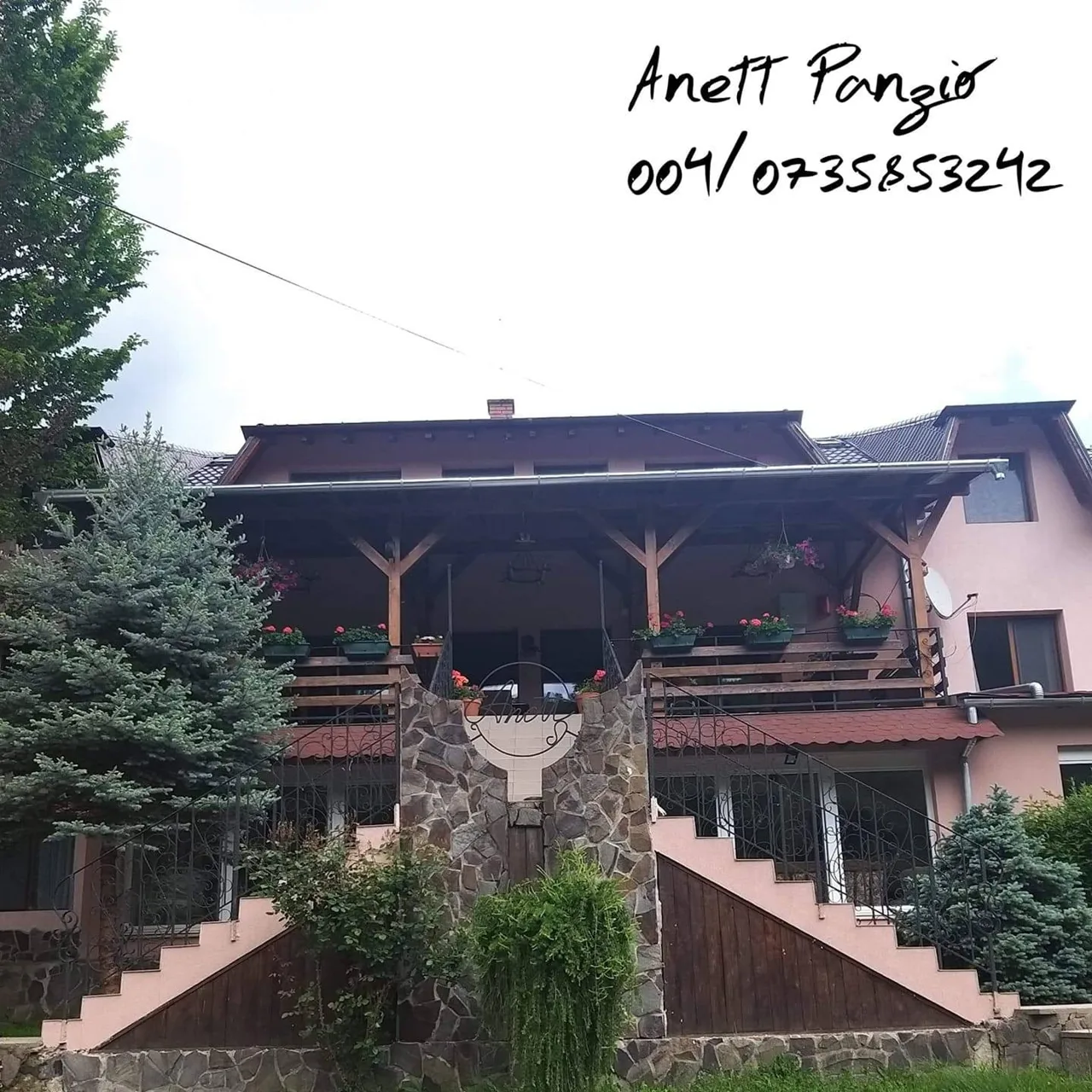 Anett