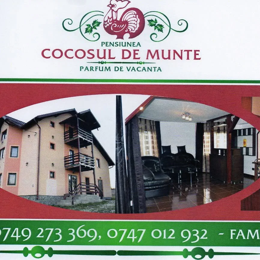Cocoșul de Munte