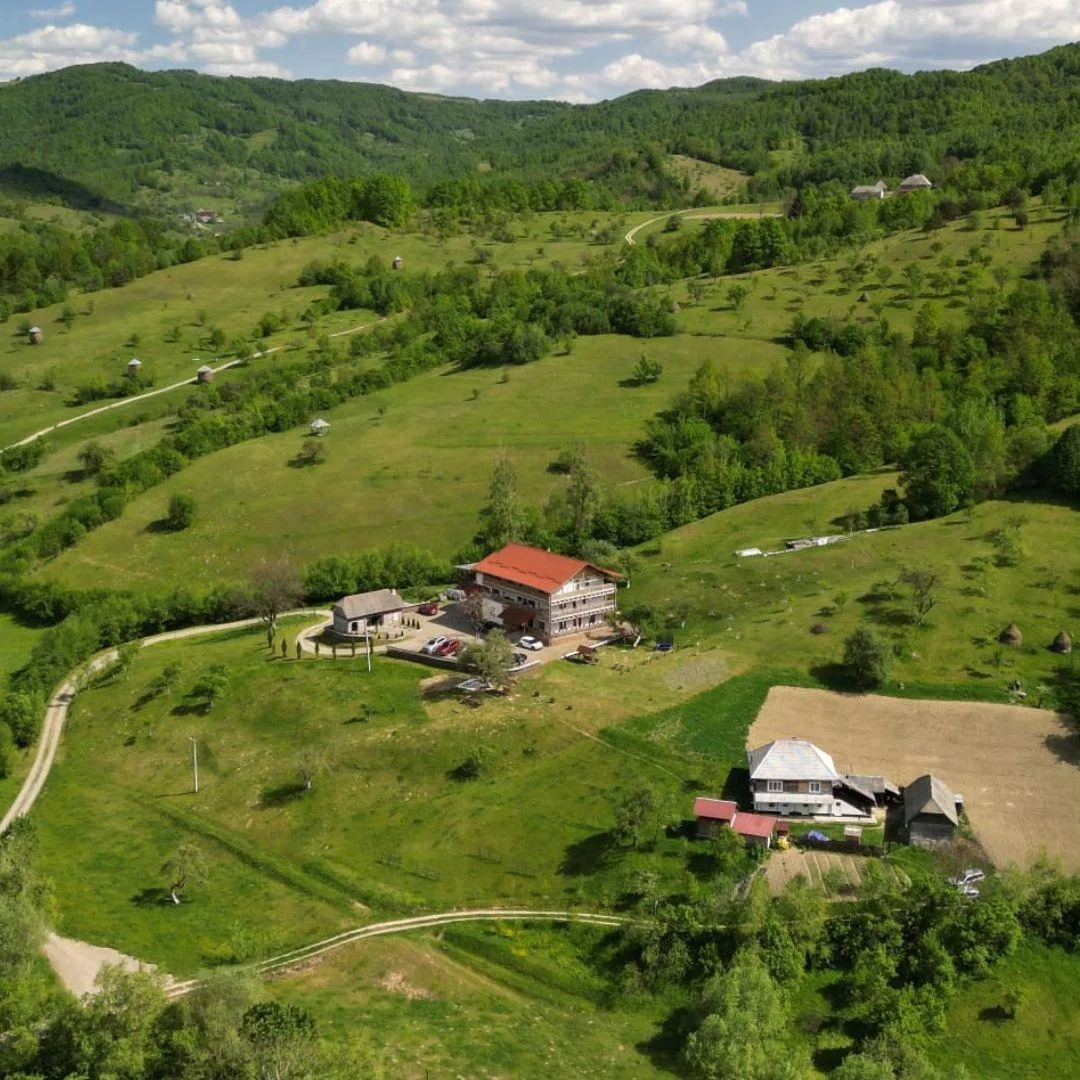 Plai Străbun