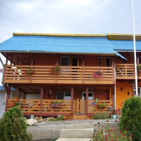 Pensiunea Conis