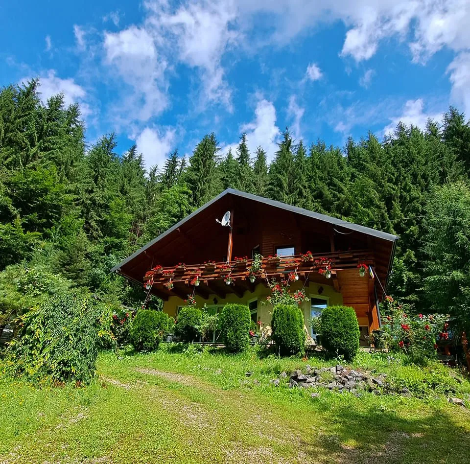 Cabana Valea Cetatii - Scrind Frasinet