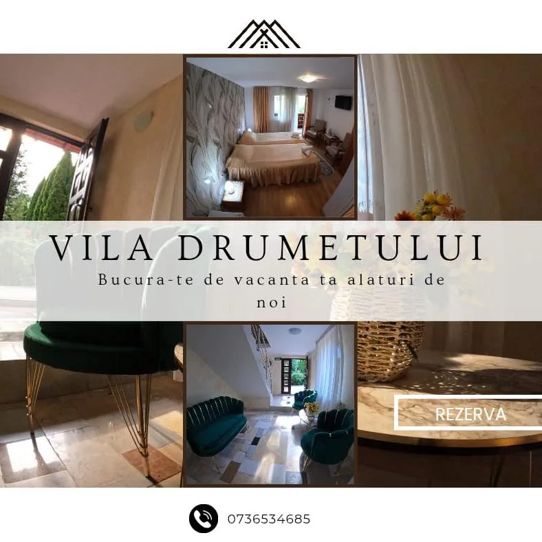Vila Drumețului