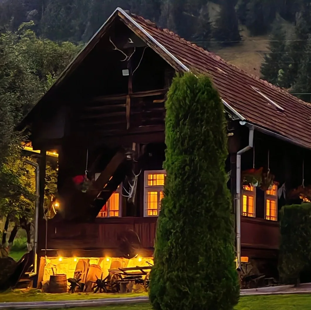 Cabana Munte