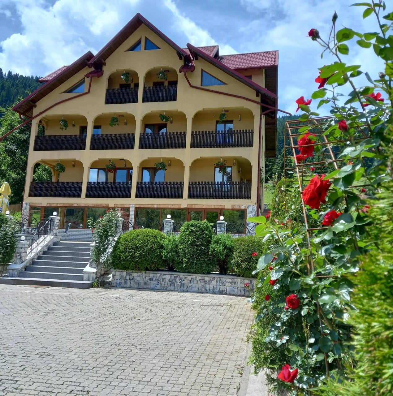 Aluniș