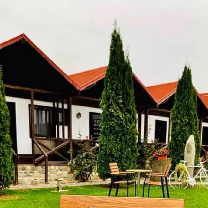 Pensiunea Valea Argesului