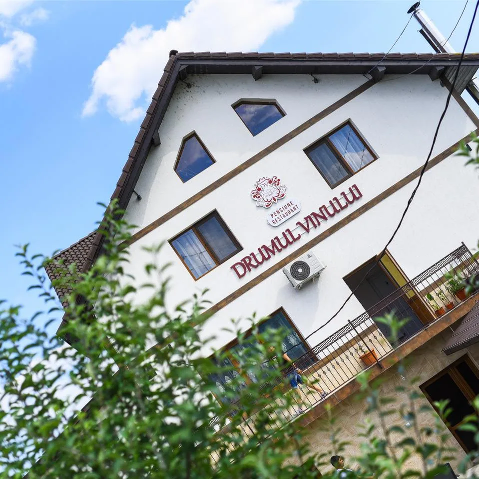 Drumul Vinului