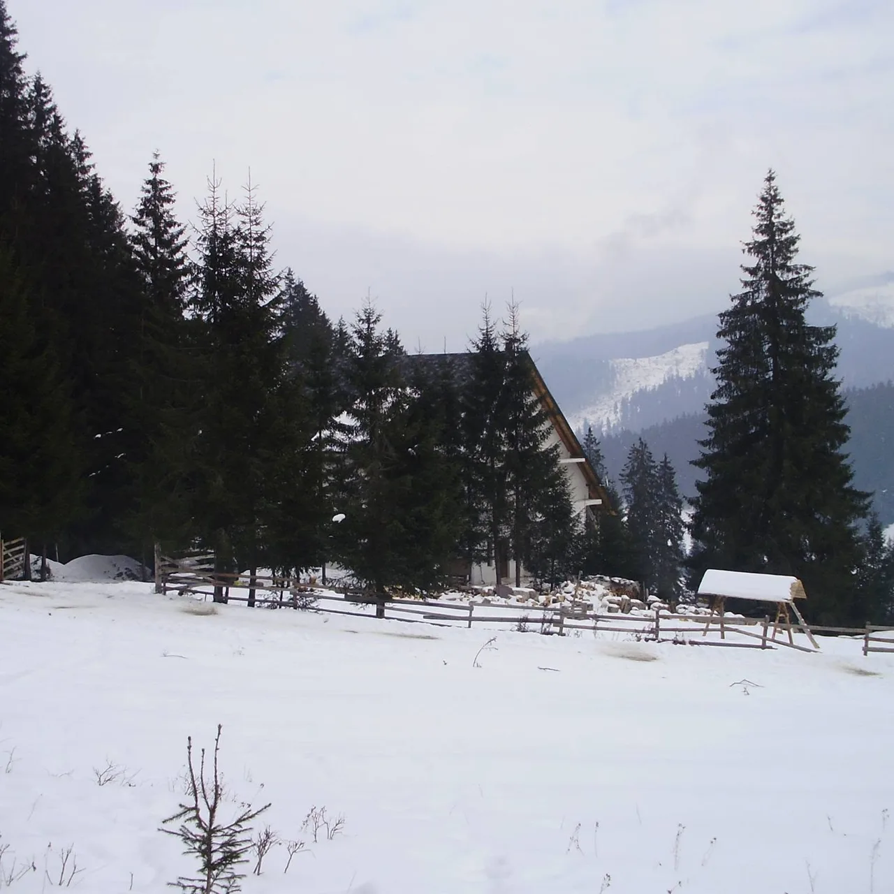 Cabana Valea Putnei