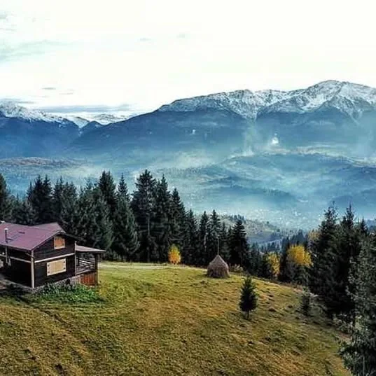 Cabana din Munți