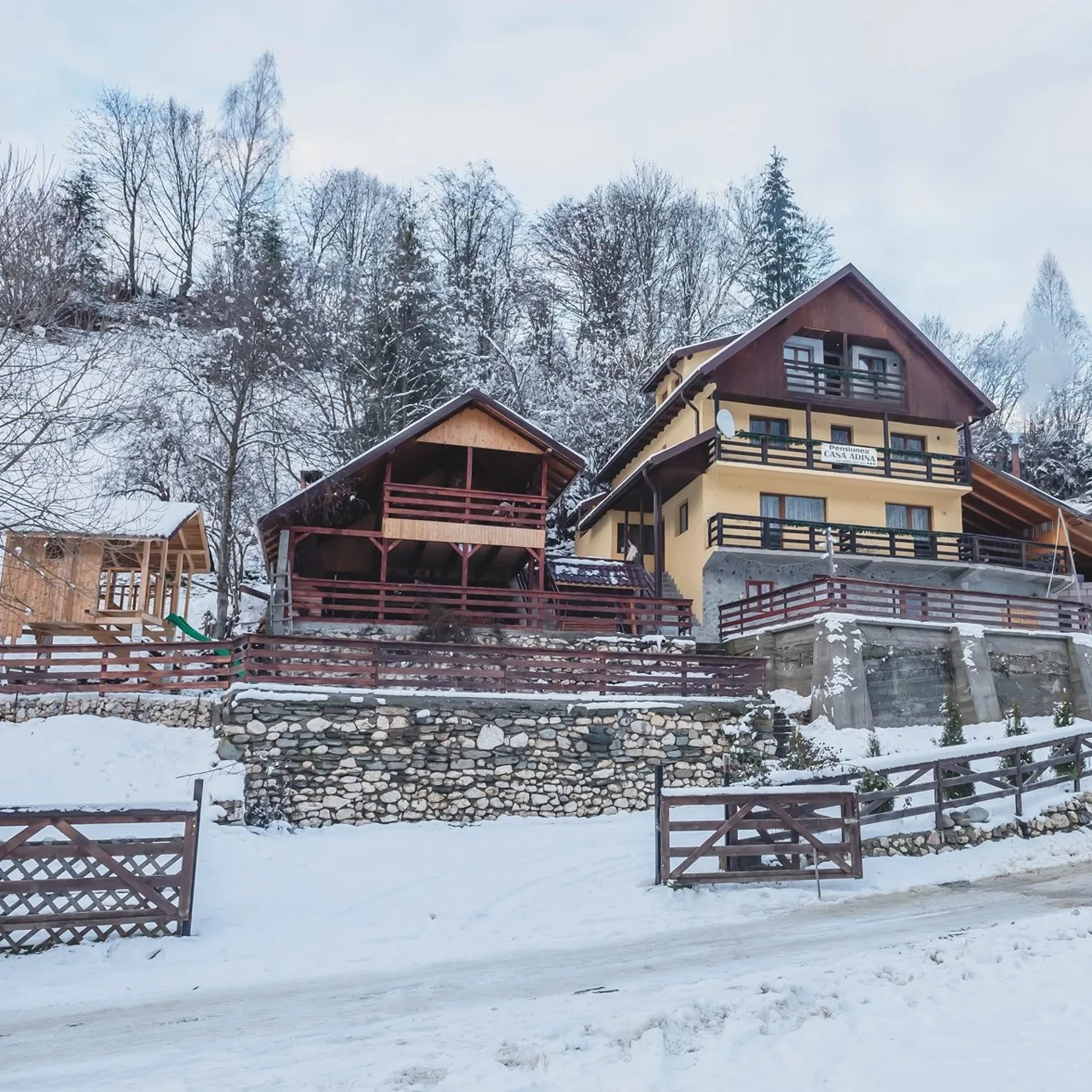 Pensiunea Casa Adina