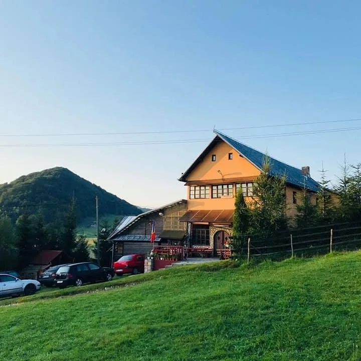 Garofita Pietrei Craiului CIOCANU