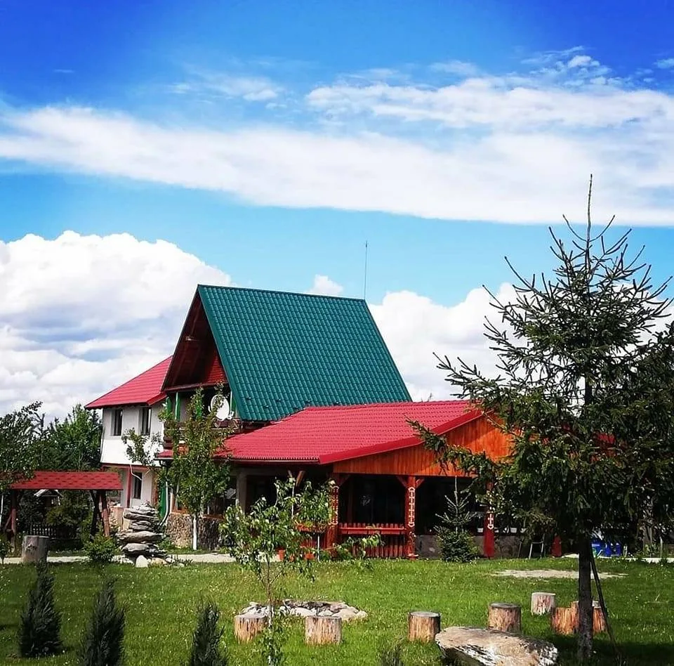 Cabana cu Acoperisul Verde