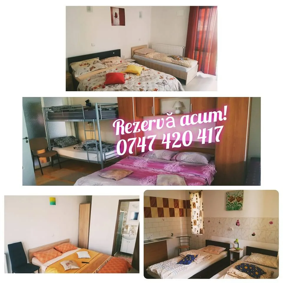Pensiunea "Casa MarVik"