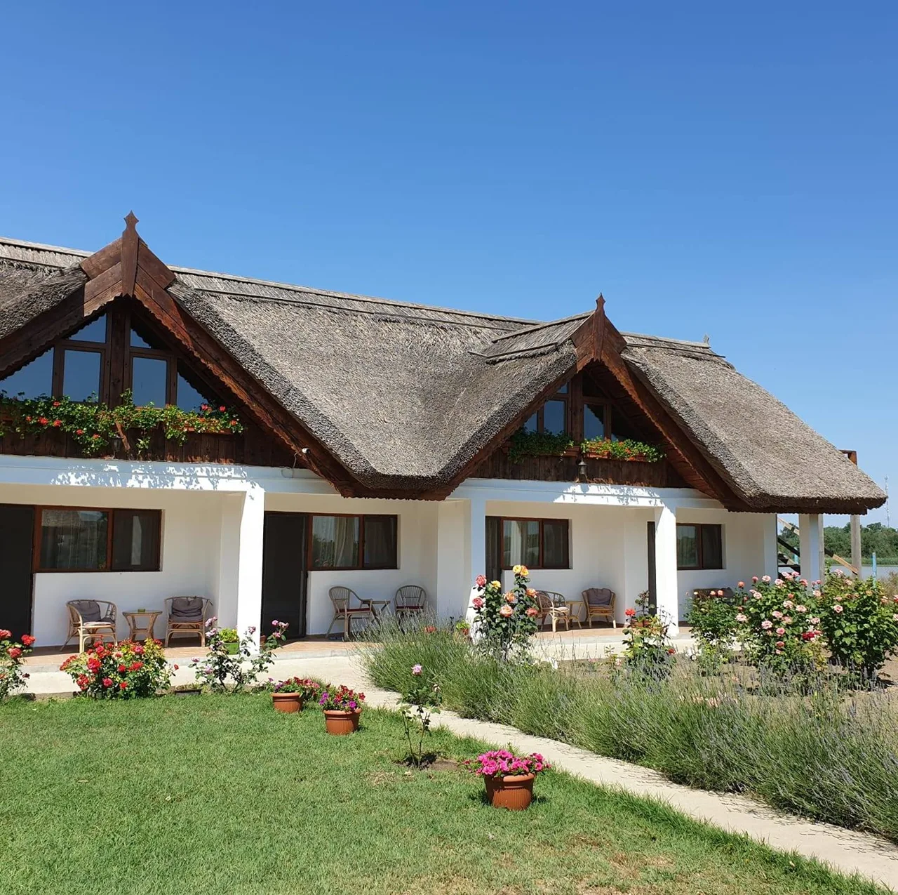 La Răducu