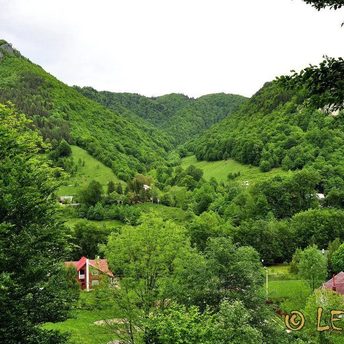 Lepşa