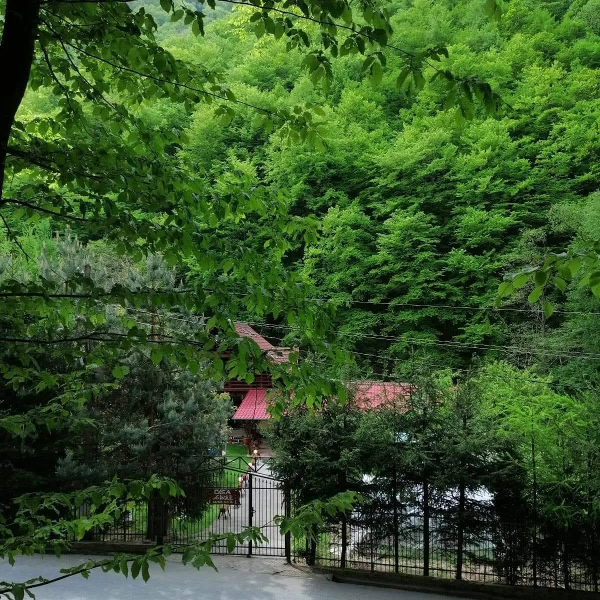 Cabana Casa la Vasile Cugir