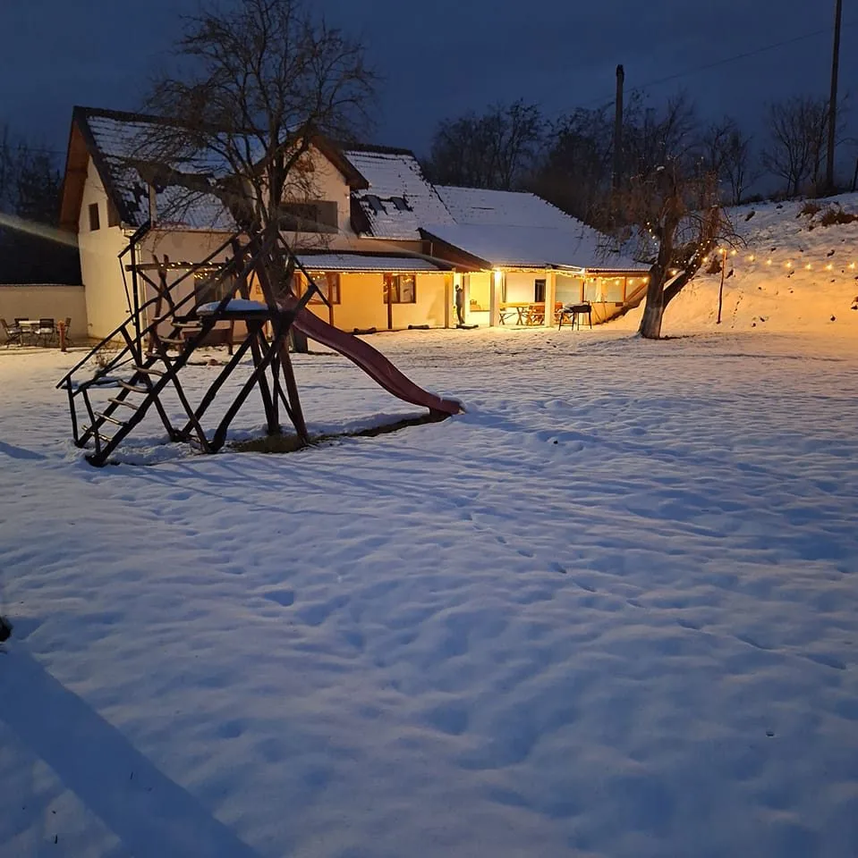 Căsuța din Drăgușel