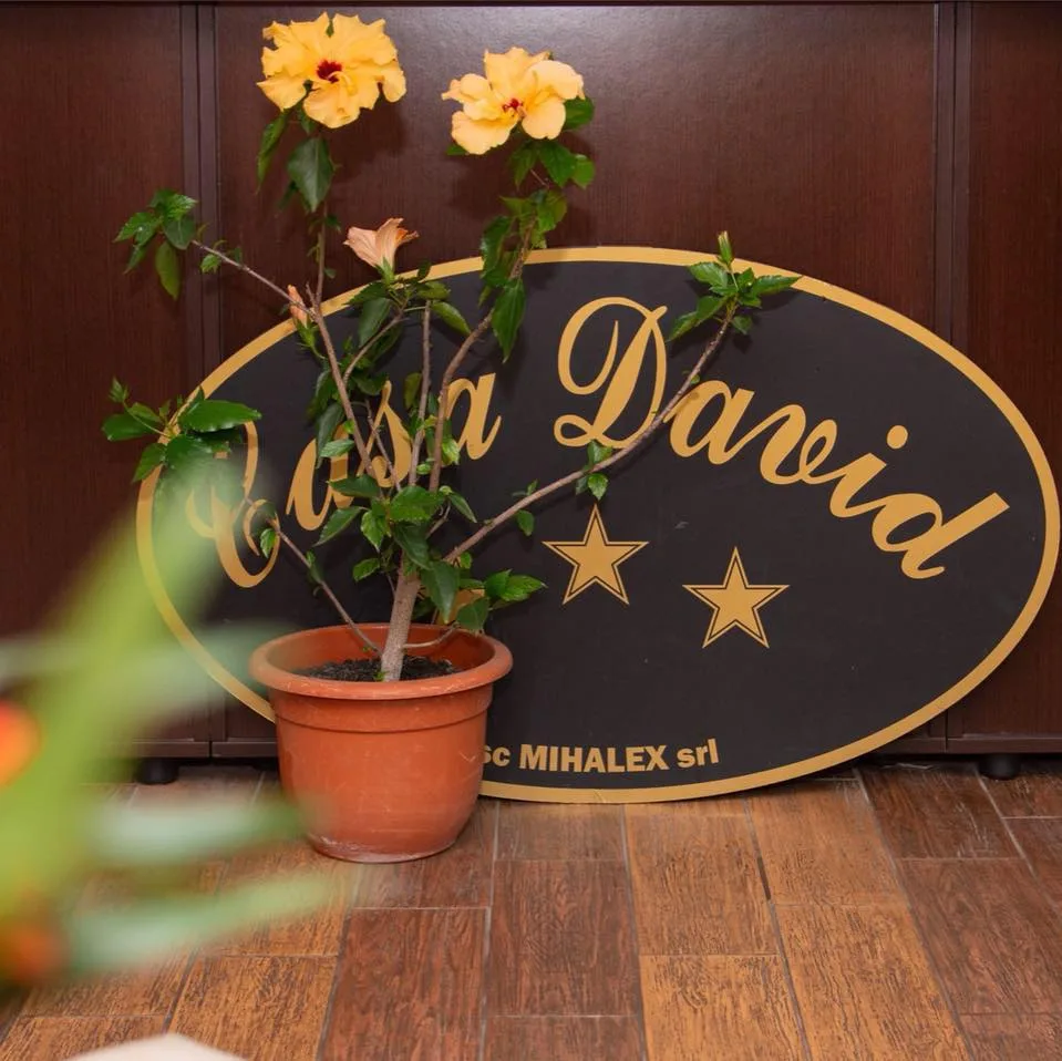 Casa David