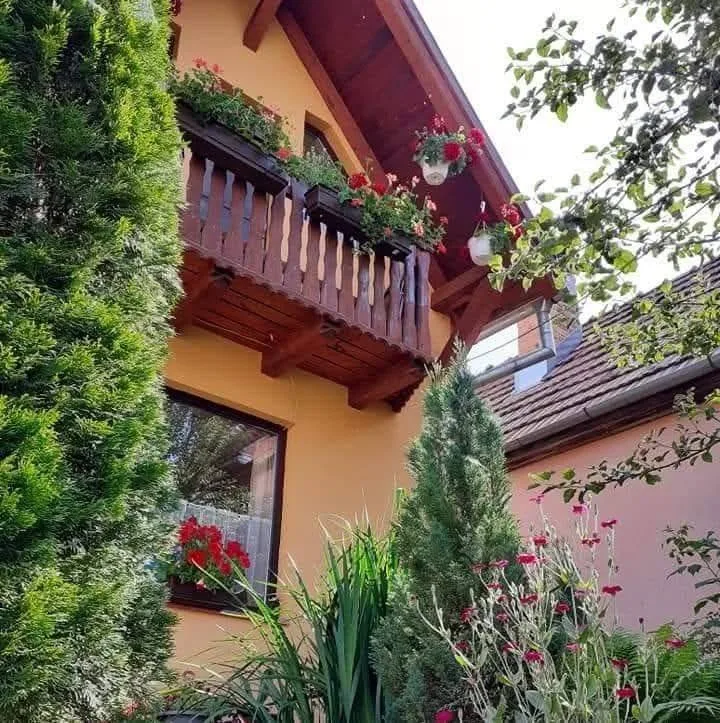 Lali