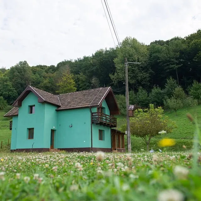 Pensiunea Green Rosia