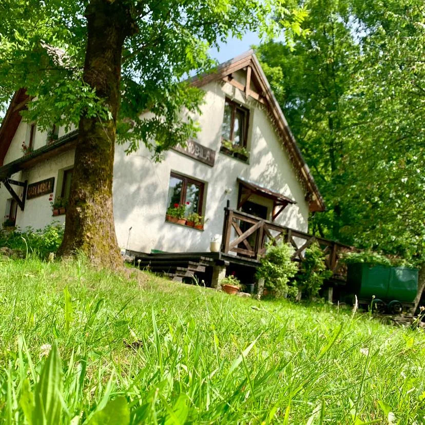 Casa Nobilă