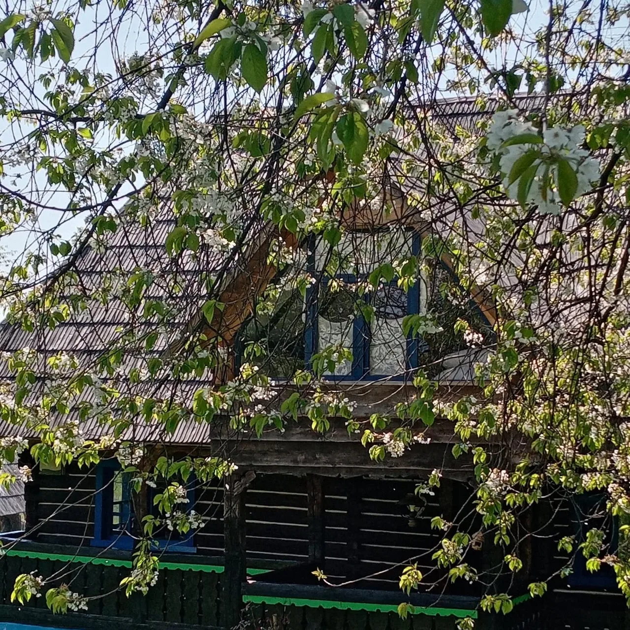 Pensiunea Plai de Rai in Maramu