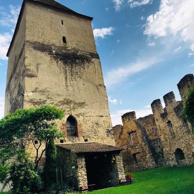 Cetatea Câlnic
