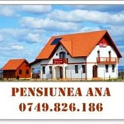 Pensiunea Ana Odoreu