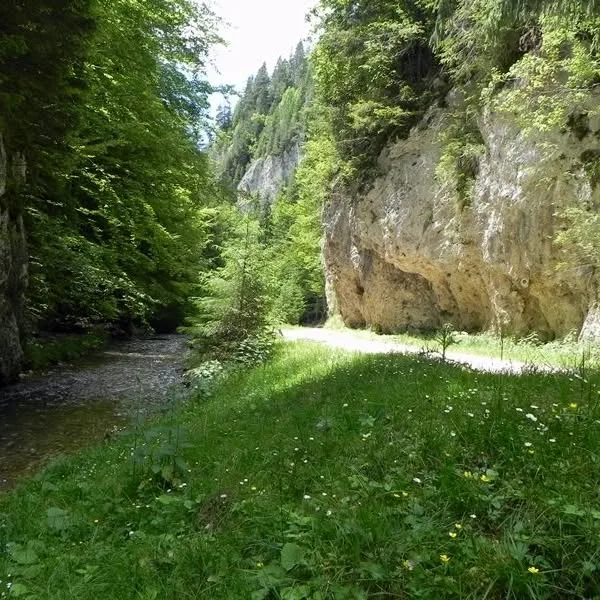 Valea Cheii