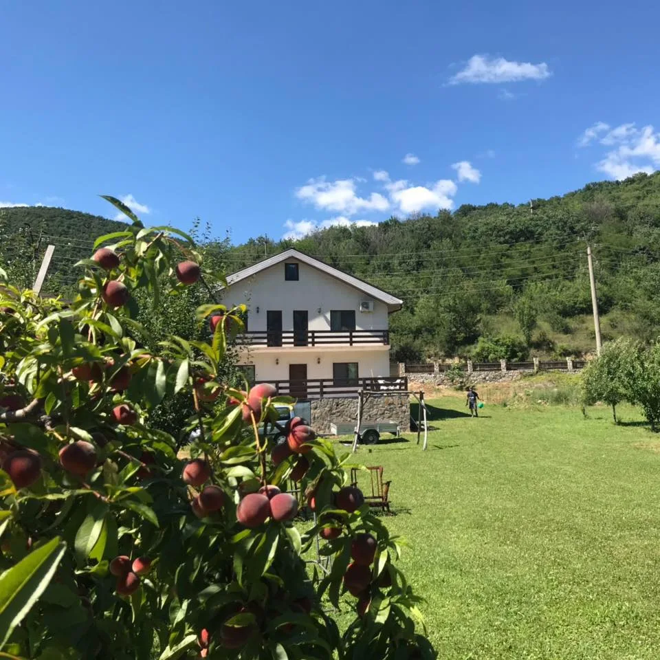 Casă de vacanță în Drencova