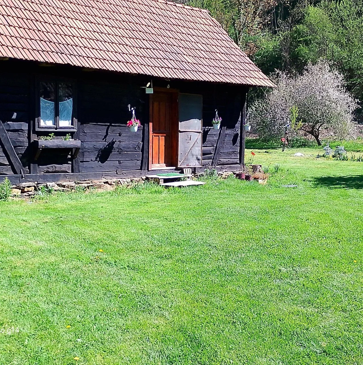 Casa Speranța
