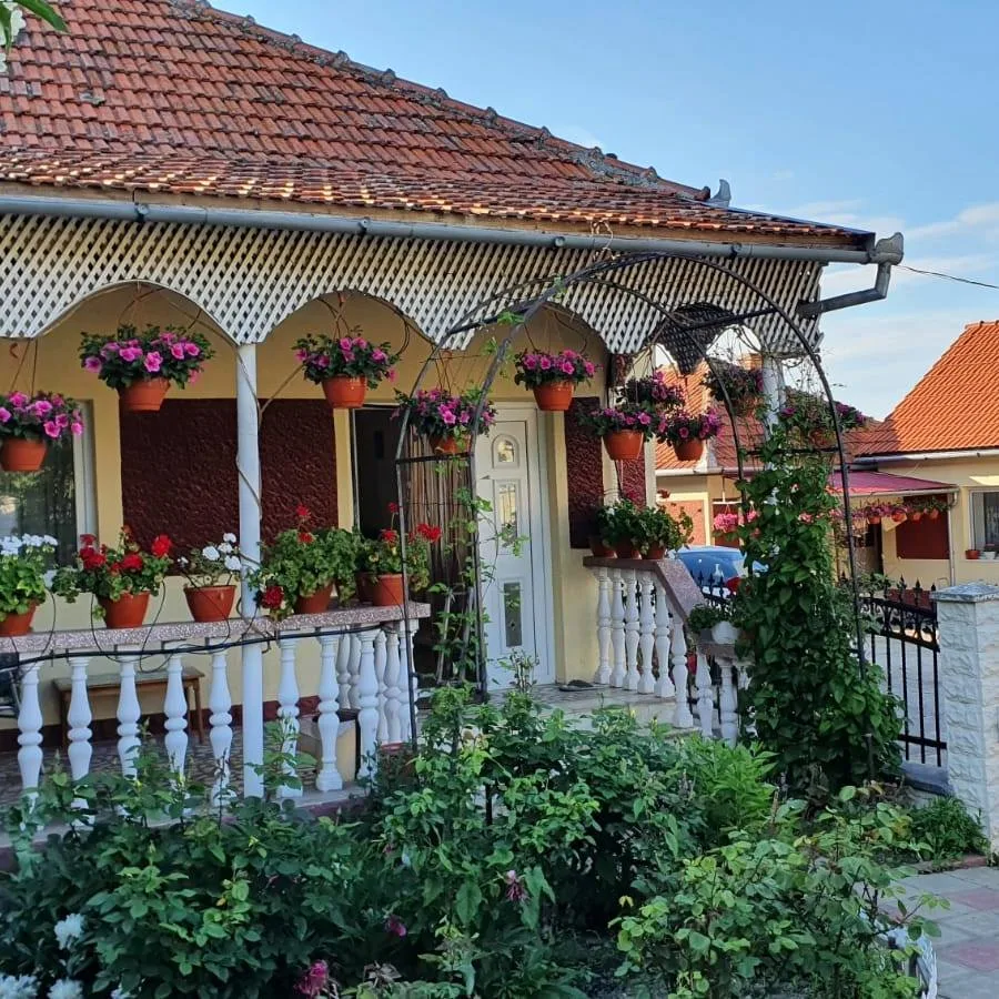 La Moșu În Retezat