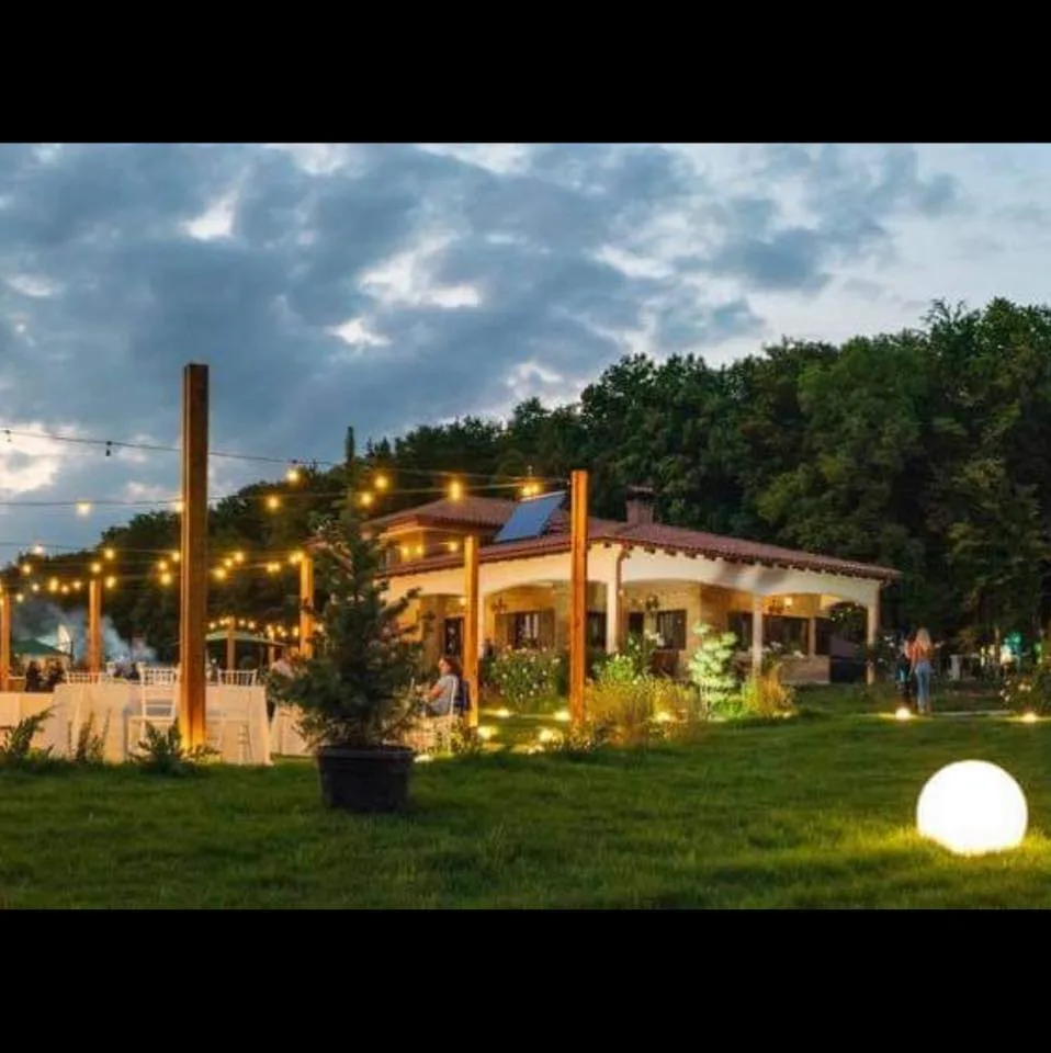 Pensiunea Antique