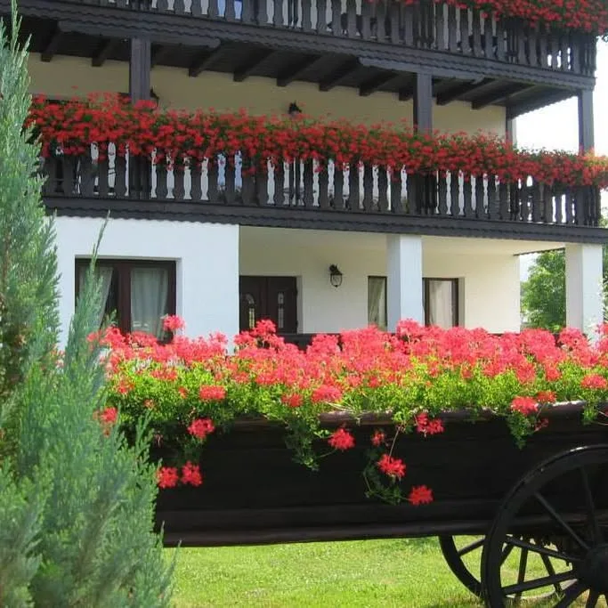 Pensiunea Casa Ta Frasin