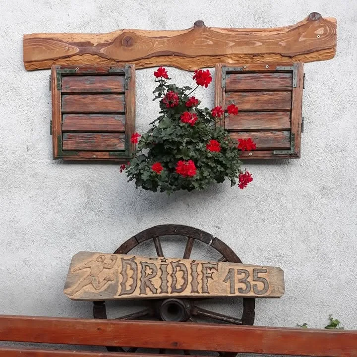 Pensiunea Dridif 135