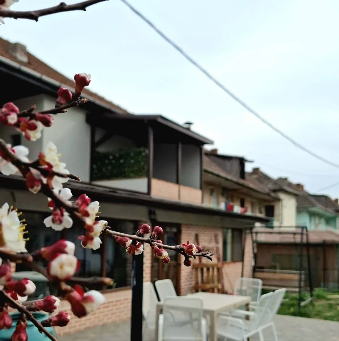 Vila Mihu Cetate-Deva