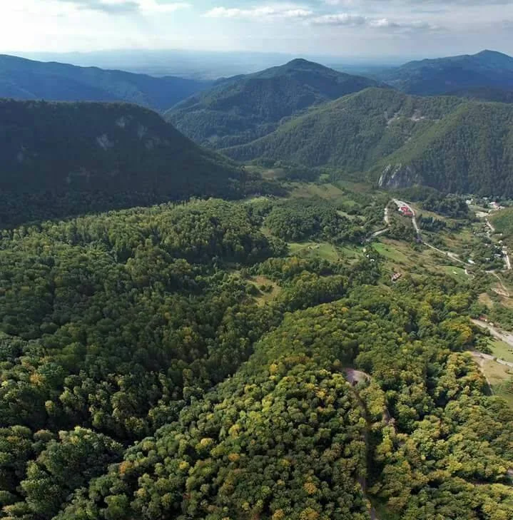Pensiunea Apuseni-Padis