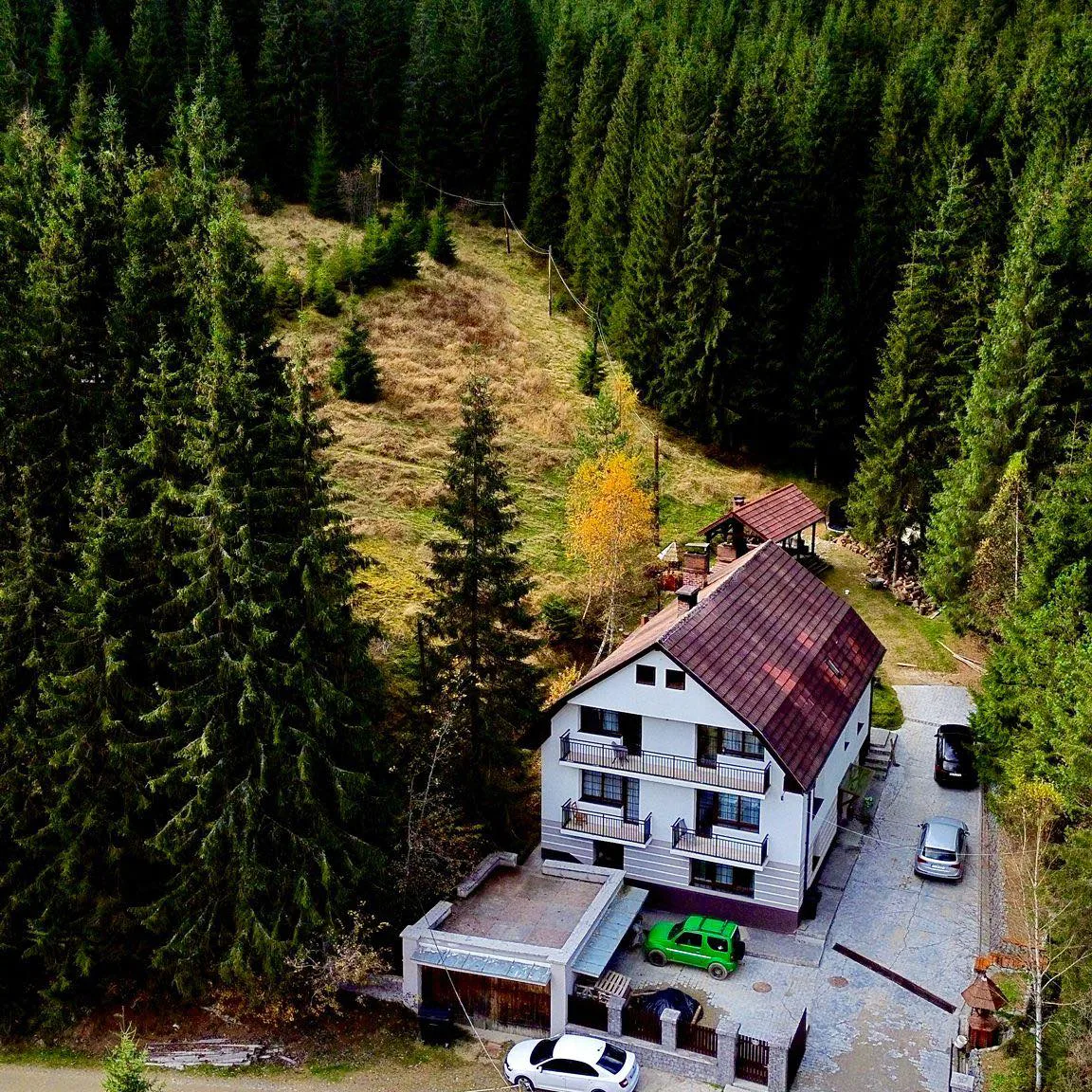 The Forest Poiana Horea